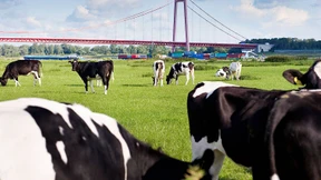 In der Schrumpfregion geht noch was