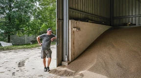 Weizen aus der Ukraine unerwünscht