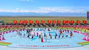 Ein Buch als Zerreißprobe für die Sinologie