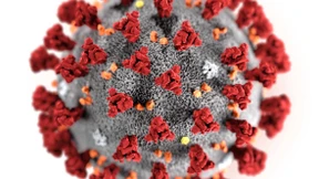 Kein Klasse-Vier-Killer, aber nicht zu unterschätzen