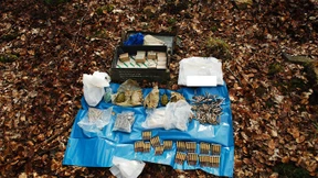 Wem gehört das Waffenlager im Wald?