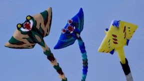 Riesen-Drachen steigt in Frankreich auf