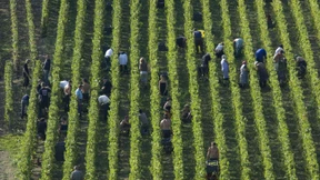 Man wird ja wohl noch schäumen dürfen