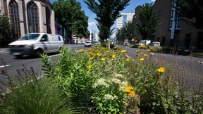 Energie gespart, Emission gesenkt