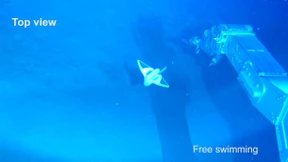 Fischroboter taucht ab