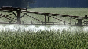 „Umweltgifte gefährden Artenvielfalt“