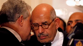 El Baradei fordert Verschiebung des Referendums