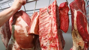 Bauernverband rechnet mit steigenden Preisen für Milch und Fleisch 