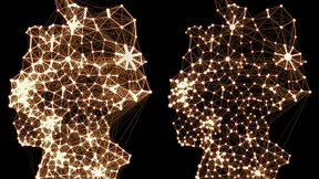 Weniger Reisen, weniger Infektionen?