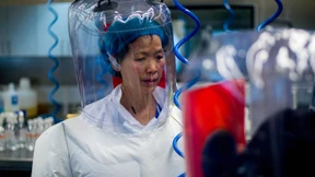 Was ist dran an der Laborunfall-These?