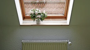 Zwischen Chaos und Fenster-Hammer