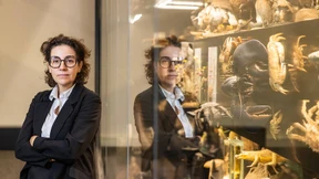 Mit Senckenberg ins dritte Jahrhundert