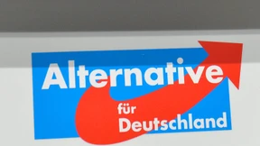 Die AfD-Professoren hadern mit der AfD