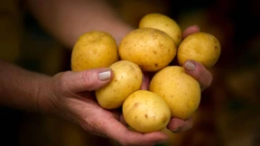 Höhere „gefühlte“ Inflation wegen teurer Lebensmittel