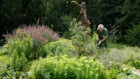 „In sechs Jahren 80 Hektar Grünflächen eingebüßt“