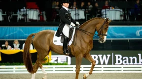 Bella Rose beim CHIO