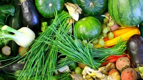 Die Weltreise der Bio-Lebensmittel auf unseren Teller