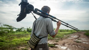 Smartphone ruft Orthotomus