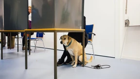 Am Ende doch zu kompliziert und ungerecht?