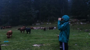 Das Vieh soll überleben – und der Wolf auch