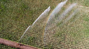 Das Dilemma zwischen Dürre und Wasserknappheit
