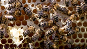 Gute Nachrichten, die Sie verpasst haben dürften