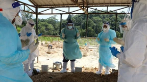 Im Griff der Mutanten