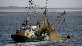 Wie kann man Meere nachhaltig bewirtschaften?