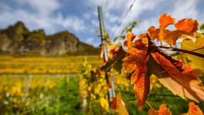 Darum ist es diesen Oktober ungewöhnlich warm