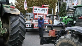 Frankreichs Bauern protestieren gegen Freihandel
