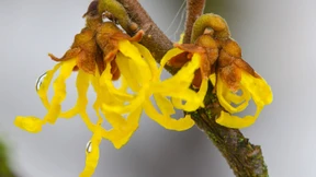 Fast schon frühlingshafte Temperaturen erwartet