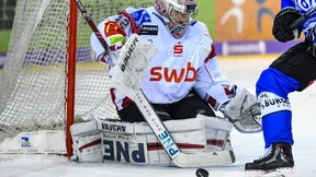 Bremerhaven bleibt DEL-Team der Stunde