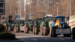 600 Traktoren können Frankfurt kaum stören