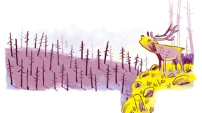 Gerippe statt Baumkrone