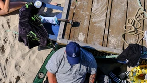 Gespaltene Zunge zu Garantien