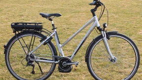 Viel Gewicht auf der Hinterhand