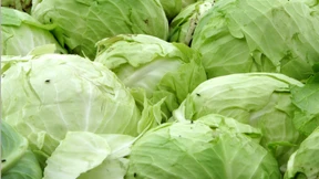 Frischer Kohl, der frisch bleibt