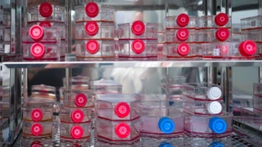 Millionenklage um mutmaßlich gepanschtes Serum