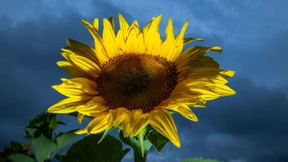 Bis zu 150 Liter Regen in Süddeutschland erwartet