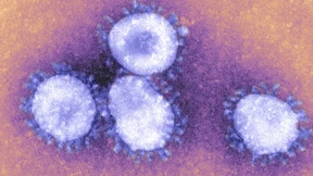 Corona-Infektion könnte Blutgefäße altern lassen