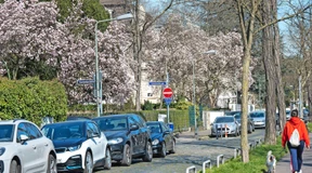 Der Frühling ist endlich erwacht