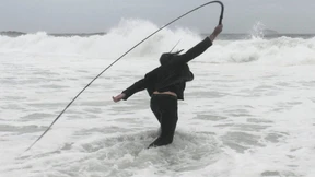 Bildwerfer und Seegeißler