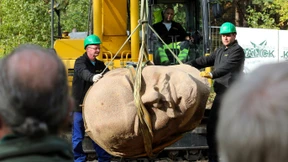 Auferstanden aus Ruinen