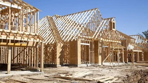 Sperrholz im Hurrikangebiet