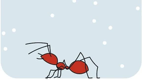 Prognose mit Ameisenschenkeln und rauschenden Bächen