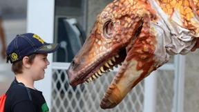 Dinosaurier-Skelett in Mexiko gefunden