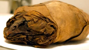 Resteverwertung für die letzte Reise