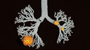 Die Covid-19-Invasion