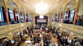 Der kleine Pauly sucht ein Zuhause