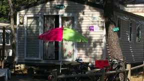 Ferien wie die Küchenschabe